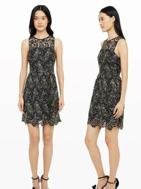 NWOT Club Monaco Jayla Lace Dress with Gold Metallic Floral Embroidery Size 0
